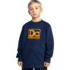 DC CREW SWEATSHIRT Tribute KIDS NAVY