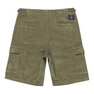 DC SHORT Pipeline 22.5" Cargo Walkshort