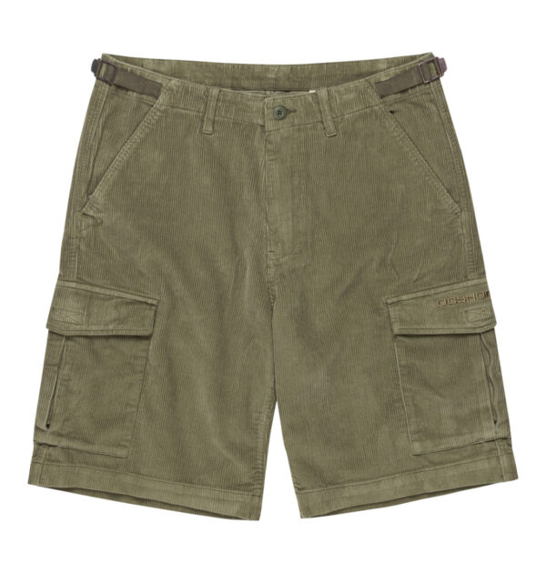 DC SHORT Pipeline 22.5" Cargo Walkshort
