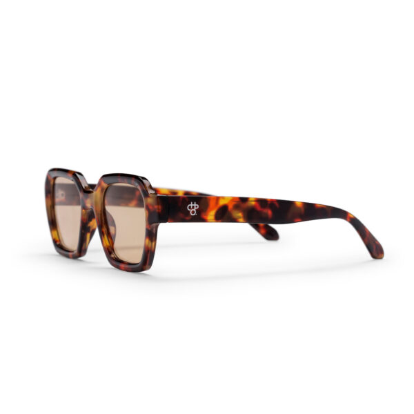 CHPO BRAND THE AK SUNGLESSES TURTLE BROWN