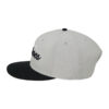 DC SNAPBACK Tailgate OS