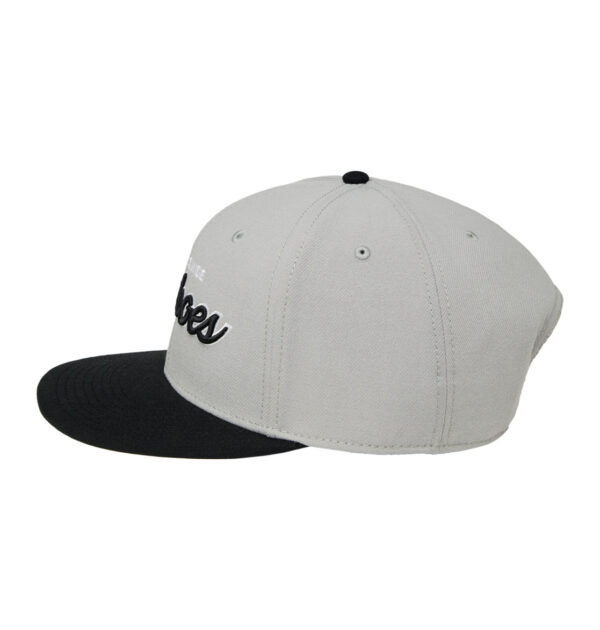 DC SNAPBACK Tailgate OS