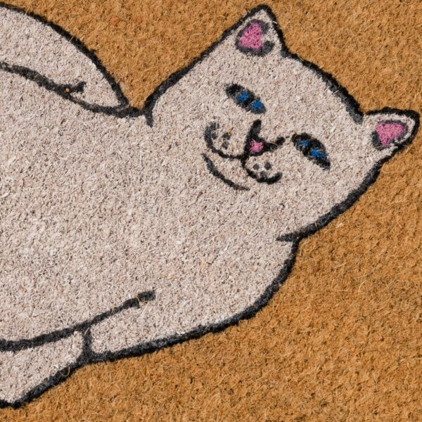 RIPNDIP WALK DOOR MAT BROWN (90cmx57cm)
