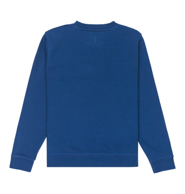 DC crewneck Varsity KIDS