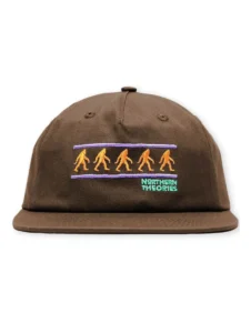 THEORIES Northern Theories Embroidered Snapback Hat (Brown)