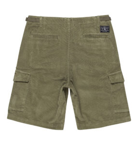 DC SHORT Pipeline 22.5" Cargo Walkshort